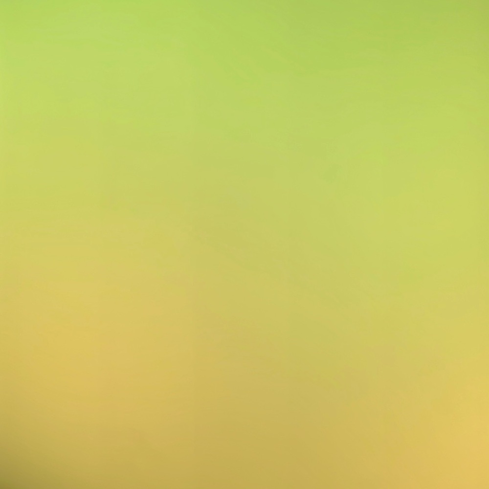 Meet your Posher, Cleo